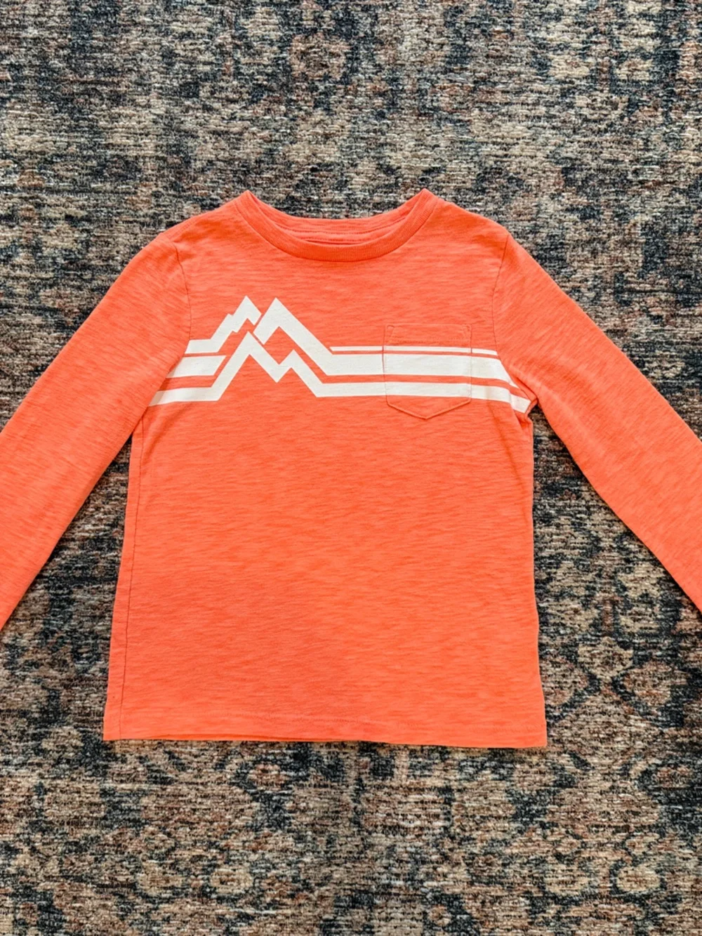 GAP Orange Long-Sleeve Tee with White Mountain Stripe